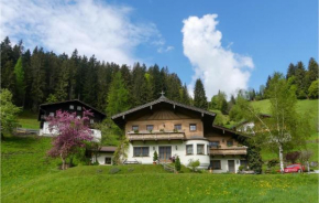 Amazing apartment in Wagrain with WiFi and 3 Bedrooms